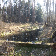 item_850803_pic_1_orig