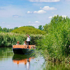 item_891615_pic_1_orig