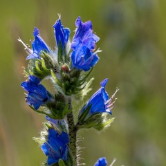 item_1101841_pic_1_orig