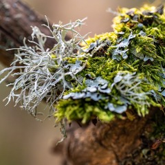 item_1101661_pic_1_orig